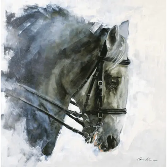 Gavin Collins