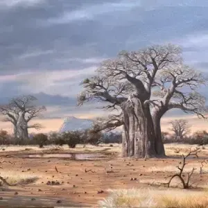 Andre Vorster — Baobab Tree