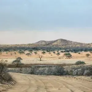 Andre Vorster — Wilderness Road