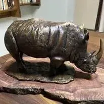 Andre Vorster — Rhinoceros