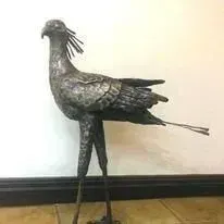 Andre Vorster — Secretary Bird