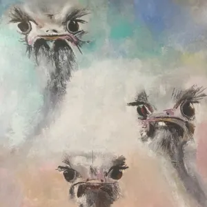 Cécile Jadin — menage à trois