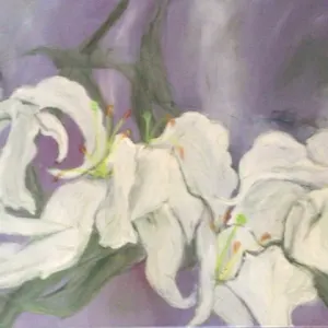 Sandy Chaitowitz — St Joseph's Lilly 3
