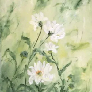 Sandy Chaitowitz — Daisies at noon