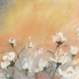 Sandy Chaitowitz — Daisies at sunrise