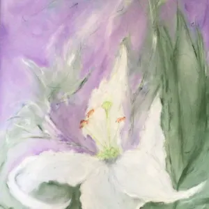 Sandy Chaitowitz — St Josephs Lilly 2