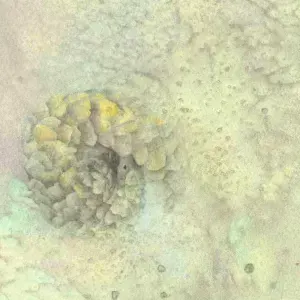 Anna Liebenberg — spirals ii