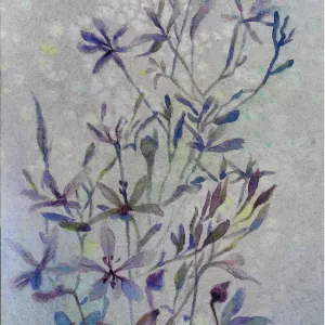 Anna Liebenberg — reaching