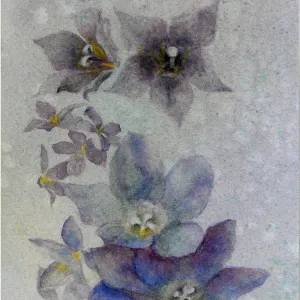 Anna Liebenberg — floatinng