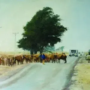 Brahm van Zyl — Cattle Crossing I