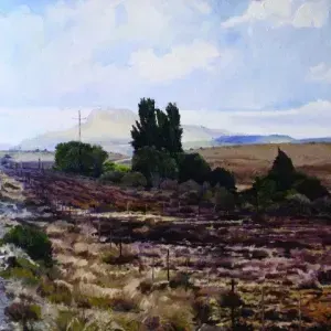 Brahm van Zyl — Still Oasis