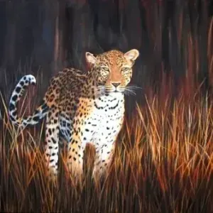 David Kantey — Light Capture