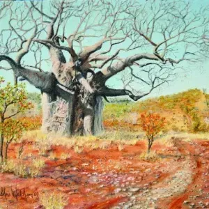 Chris Watcham — Baobab on 4X4 Trail - Kruger Park