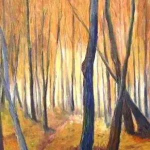 David Moore — Silver Birch trees & Orange Leaves 2