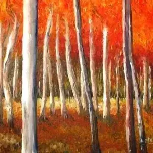 David Moore — Silver Birch trees & Orange leaves 1