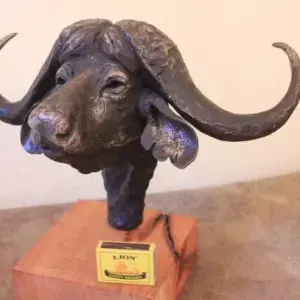 Andre Vorster — Buffalo